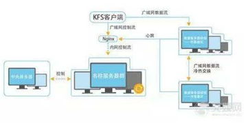 云柏春林 一次创业坚持十年，用咨询点亮企业成长之路